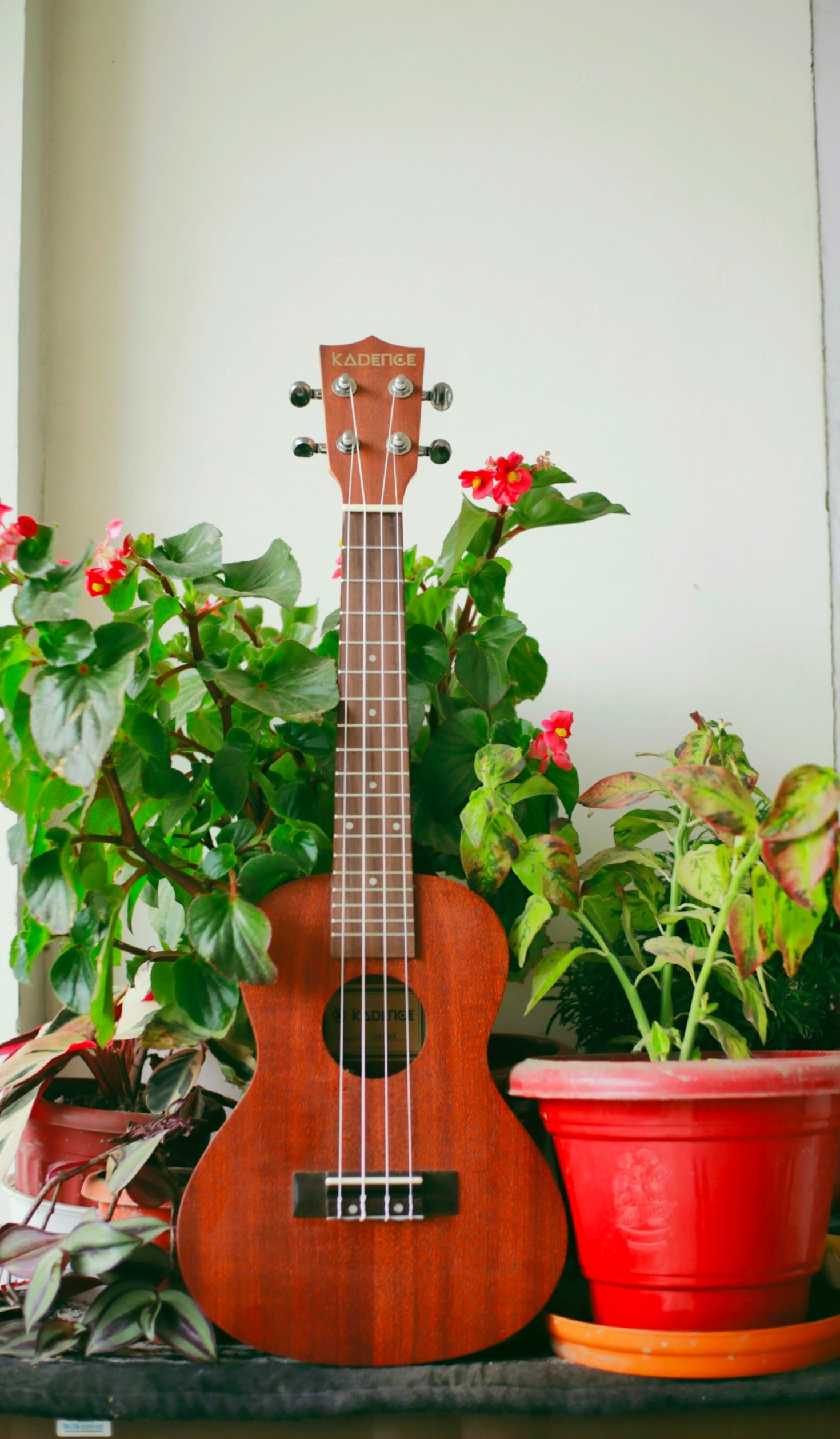 Top Tips for Maintaining Your Handmade Ukulele